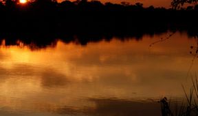 Kouzlo Afriky: Řeka Chobe